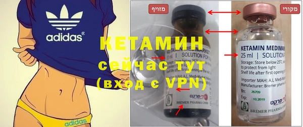 шишки Нея
