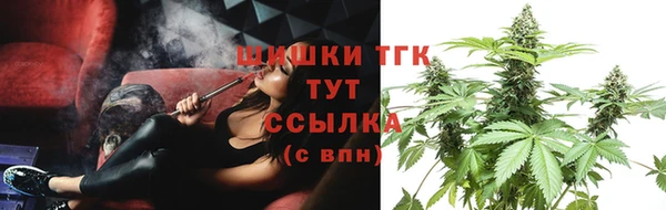 шишки Нея