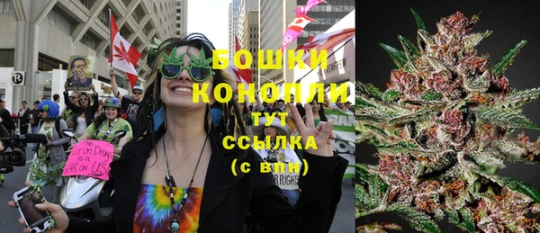 PSILOCYBIN Нефтегорск