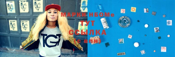 шишки Нея