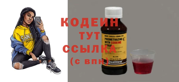 шишки Нея