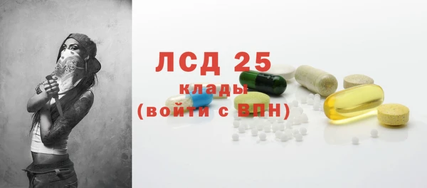 шишки Нея