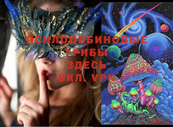 шишки Нея