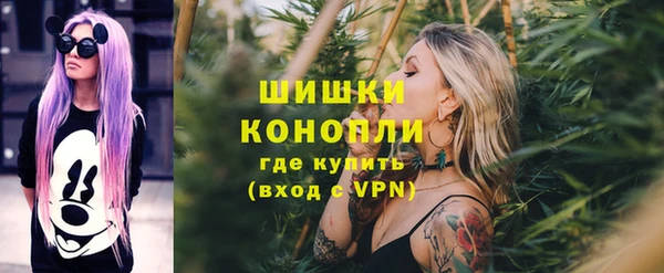 шишки Нея