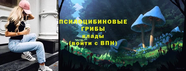 PSILOCYBIN Нефтегорск