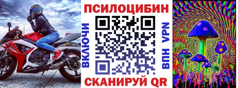 Купить  Костерёво  Псилоцибиновые грибы Cubensis 
